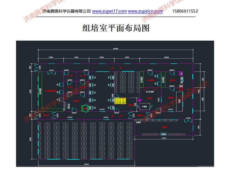 山東麻豆精品一区二区综合AV室(培養室)建設設計