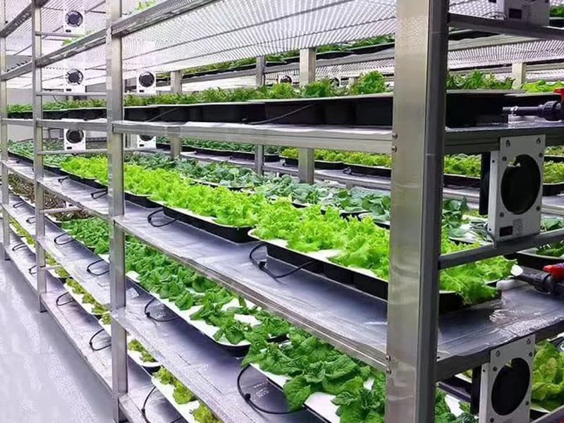 麻豆精品一区二区综合AV室淨化