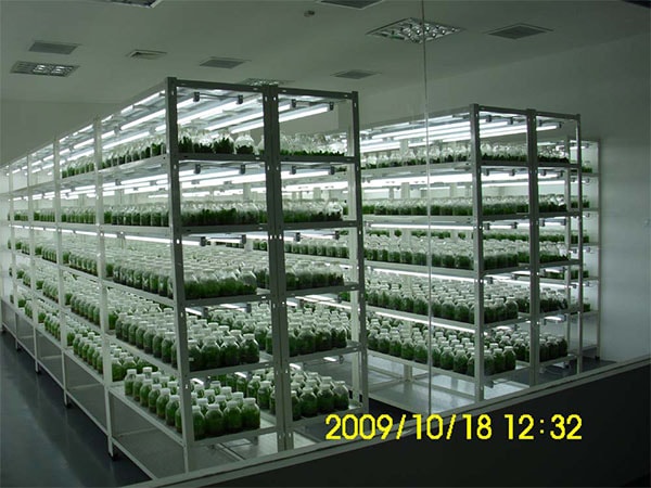 麻豆精品一区二区综合AV室設計