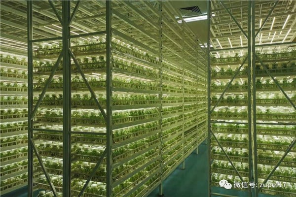 麻豆精品一区二区综合AV儀器設備